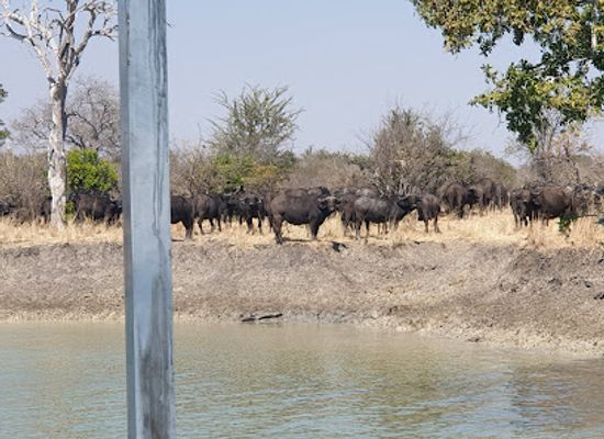 zambia/luangwa-valley/attraction/kafue-national-park
