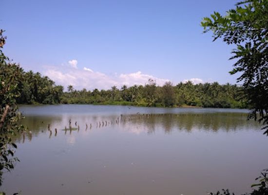 india/kozhikode/attraction/kuchi-mani-view-point