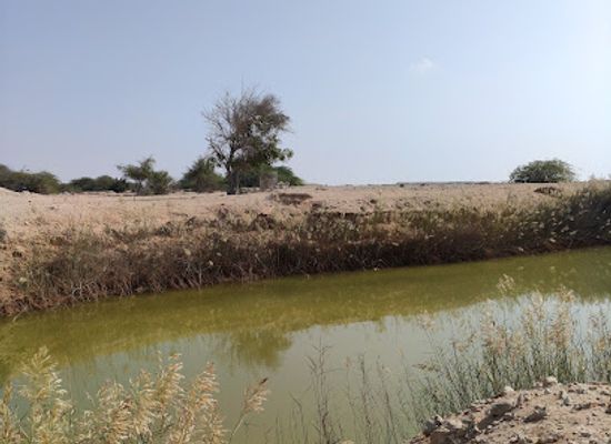 qatar/al-shamal/attraction/ain-al-shamal-alwardia
