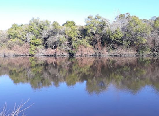 uruguay/termas-de-dayman/attraction/costanera-dayman-park