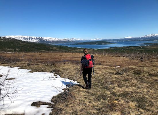 norway/troms/attraction/the-nature-bow-game-tromso-excursions