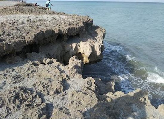 florida/stuart/attraction/blowing-rocks-preserve