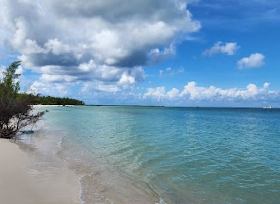 mexico/cozumel/playa-del-carmen/attraction/isla-de-la-pasion