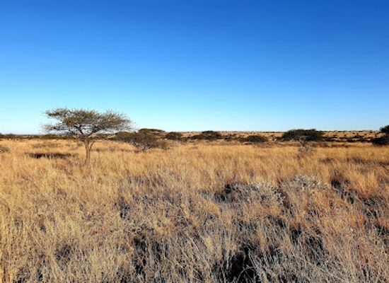 south-africa/north-west/attraction/botsalano-game-reserve