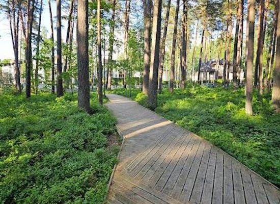 latvia/riga/attraction/dzintari-forest-park