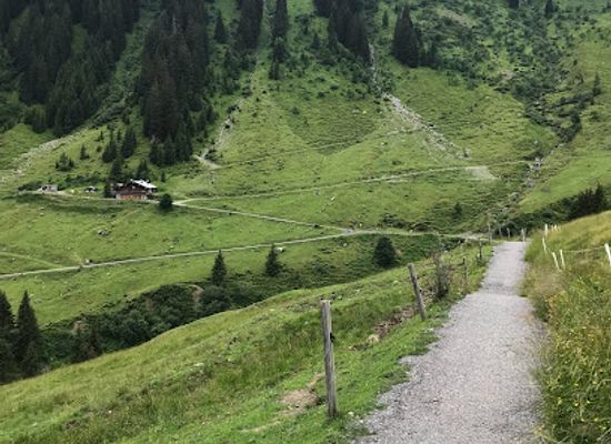 austria/saalbach-hinterglemm/attraction/wildlife-trail