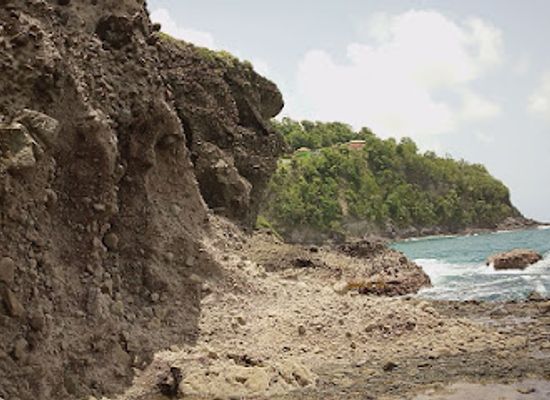 dominica/indian-river/attraction/hauli-lait