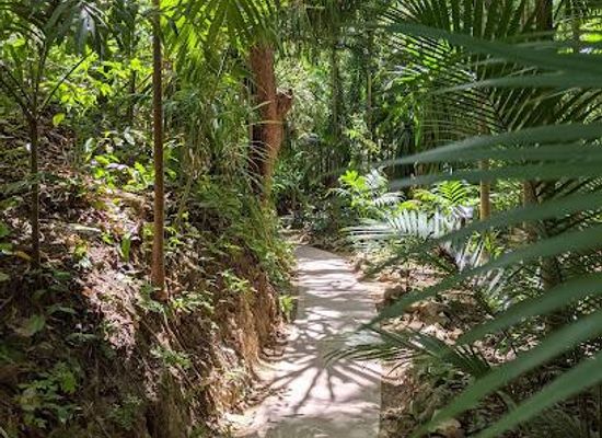 honduras/roatan/attraction/carambola-gardens