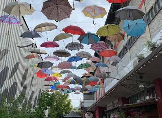 switzerland/zug/attraction/hive