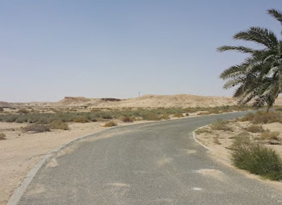 kuwait/al-jahra-governorate/attraction/sabah-al-ahmad-natural-reserve