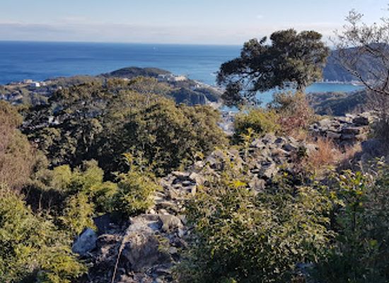 japan/tsushima/attraction/mt-ariake