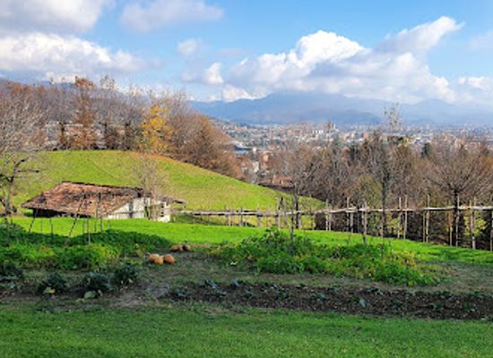italy/bergamo/citta-alta/attraction/palazzo-e-giardini-moroni