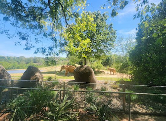 north-carolina/sandhills/attraction/north-carolina-zoo
