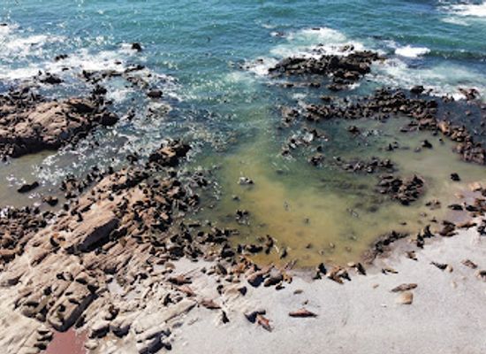 uruguay/valizas/attraction/isla-rasa