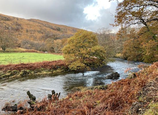 united-kingdom/isle-of-mull/attraction/forest-river-walk