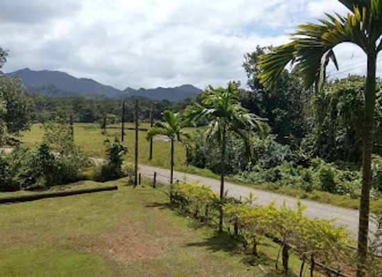 fiji/levuka/attraction/kila-world