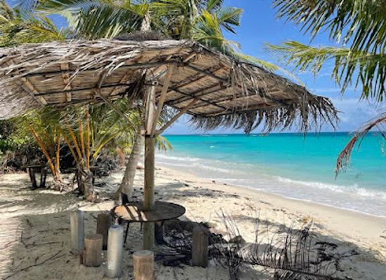 maldives/dhigurah/attraction/coral-mission-coral-reef-plantation