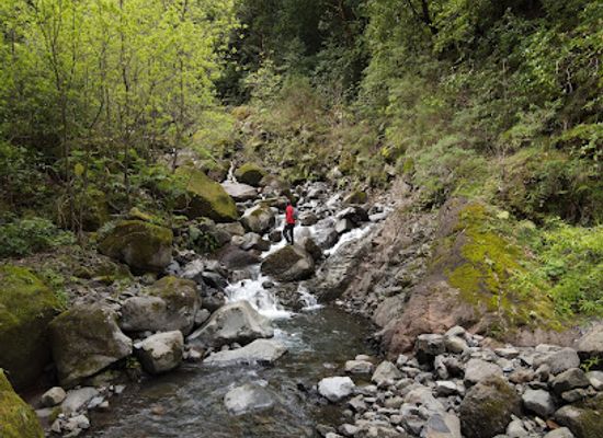 portugal/madeira/attraction/madre-levada-dos-tornos