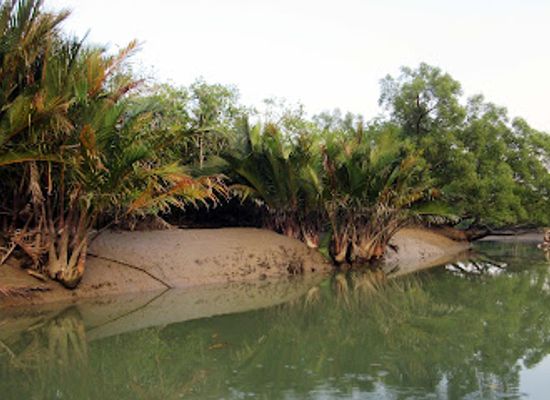 bangladesh/sundarbans-national-park/attraction/hiron-point