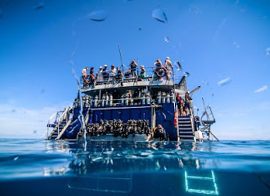 australia/cairns/attraction/reef-experience