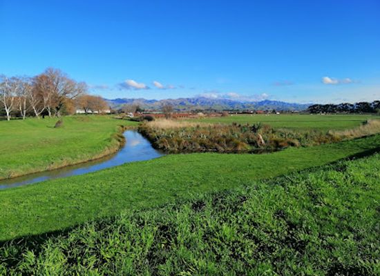 new-zealand/blenheim/attraction/taylor-river-reserve