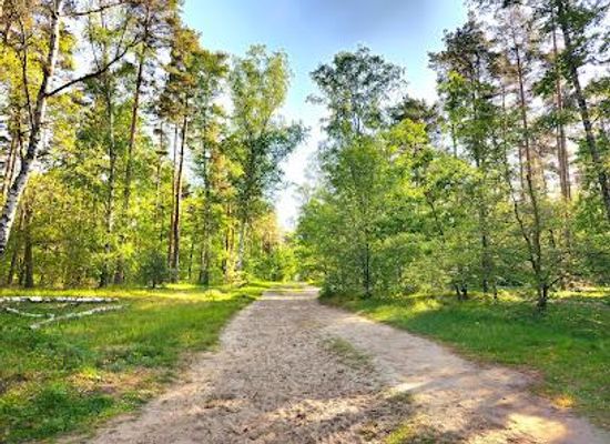 germany/berlin/attraction/grunewald
