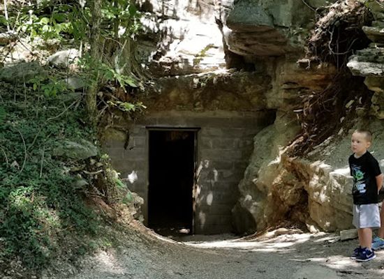 kentucky/mammoth-cave-national-park/attraction/kentucky-down-under-adventure-zoo
