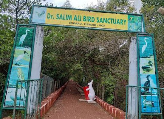 india/western-ghats/attraction/dr-salim-ali-bird-sanctuary