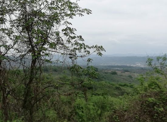 ecuador/manabi-region/attraction/cerro-hojas-jaboncillo-museo-de-sitio-picoza-manabi-ecuador
