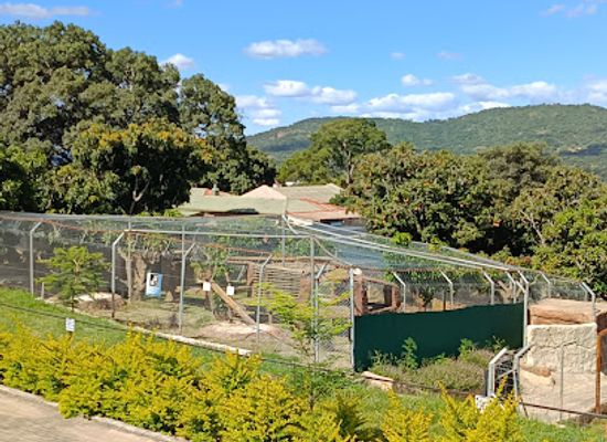 south-africa/nelspruit/attraction/pumbaa-wildlife-park-accommodation