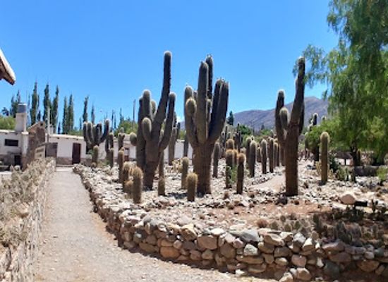 argentina/tilcara/attraction/altura-botanical-garden