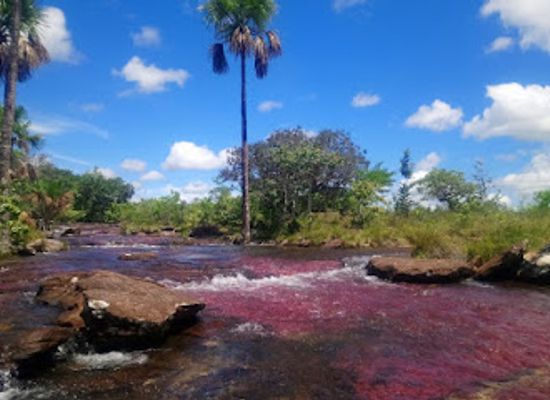 colombia/guaviare-department/attraction/geotours-del-guaviare
