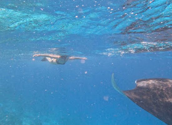 maldives/guraidhoo-island/attraction/adroit-excursion-center