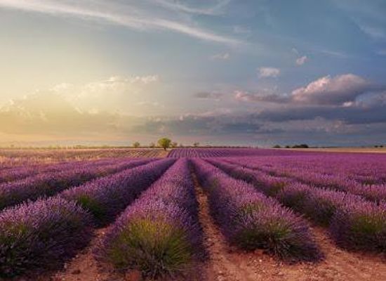 france/languedoc/attraction/time-4-provence