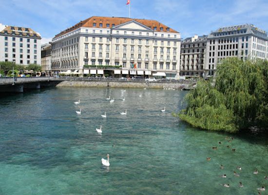 switzerland/geneva/attraction/ile-rousseau