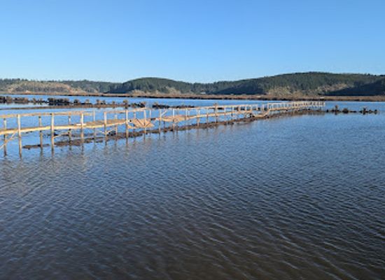 chile/o-higgins-region/attraction/salinas-de-cahuil-produccion-de-sal-artesanal