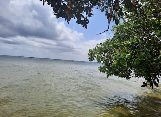 florida/cocoa-beach/attraction/hammock-cove