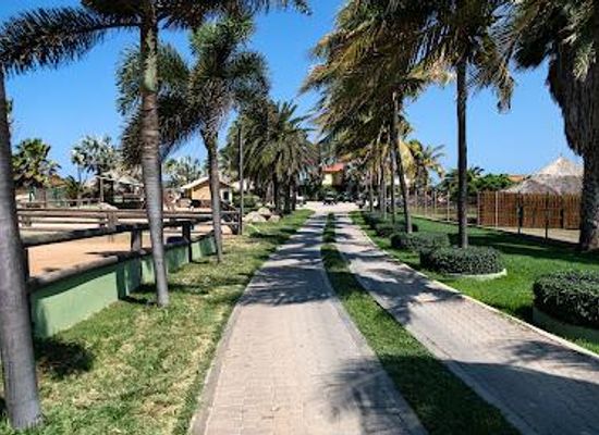 aruba/palm-beach/attraction/philip-s-animal-garden