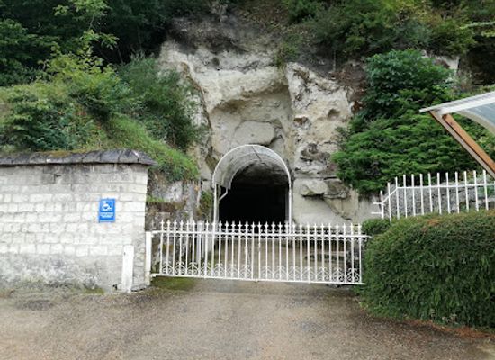 france/pays-de-la-loire/attraction/musee-du-champignon