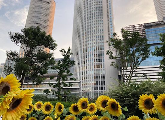 japan/nagoya/nagoya-station-area/attraction/sky-garden-5f-dai-nagoya-building
