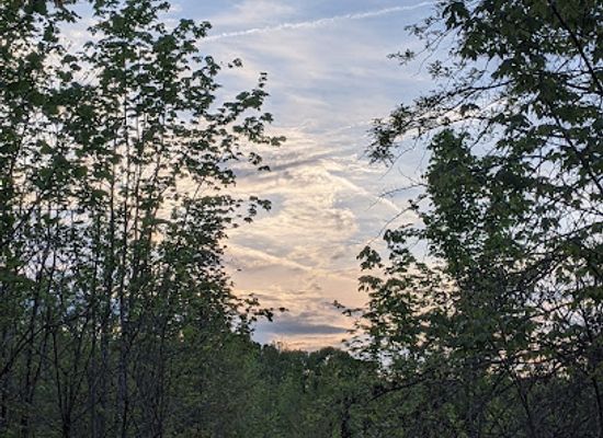 indiana/the-knobs/attraction/beanblossom-bottoms-nature-preserve-sycamore-land-trust