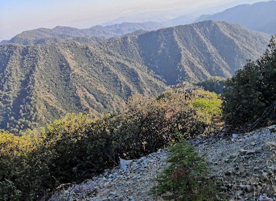 cyprus/cedar-valley/attraction/paphos-forest