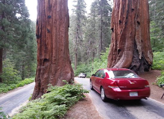 california/sequoia-national-park/attraction/sequoia-kings-canyon-national-parks