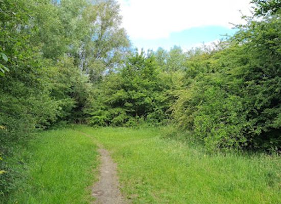 belgium/kortrijk/attraction/kabouterbos