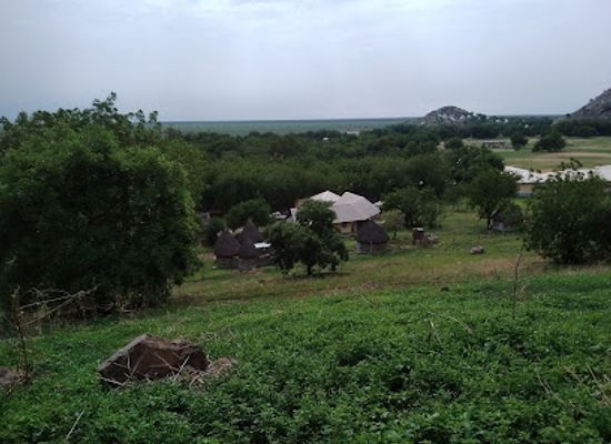 cameroon/mamfe/attraction/waza-national-park