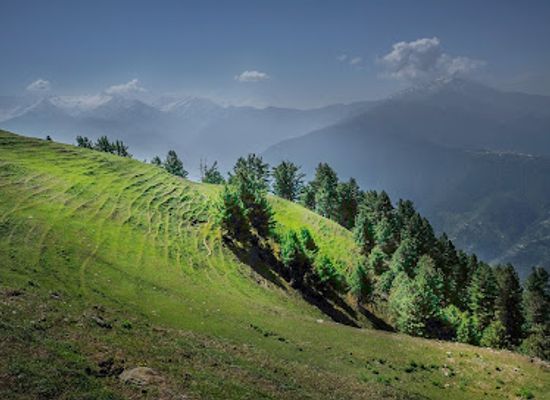 pakistan/kaghan-valley/attraction/sharan-forest