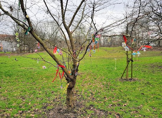 germany/hannover/linden/attraction/schnullerbaum