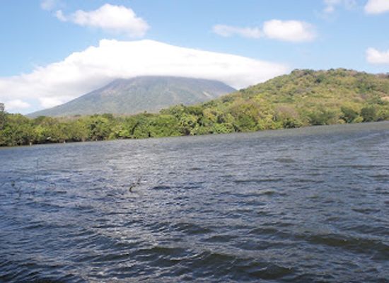 nicaragua/rivas/attraction/charco-verde-park-butterfly-aviary