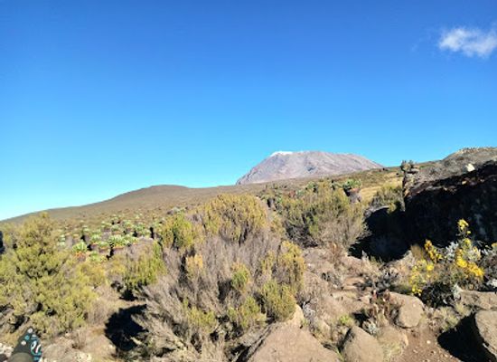 kenya/chyulu-hills/attraction/rongai-gate