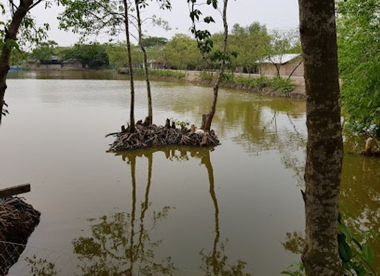 bangladesh/sundarbans/attraction/the-sundarbans-bangladesh